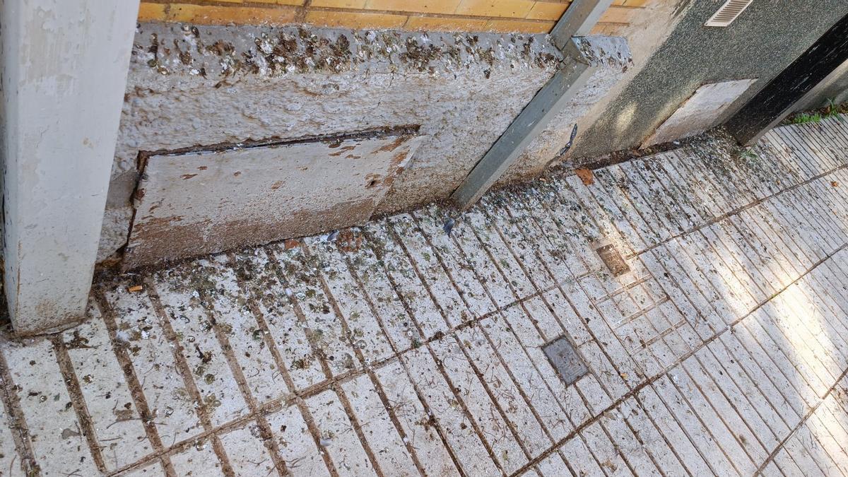Acumulación de excrementos de paloma en el suelo y en las fachadas de edificios.