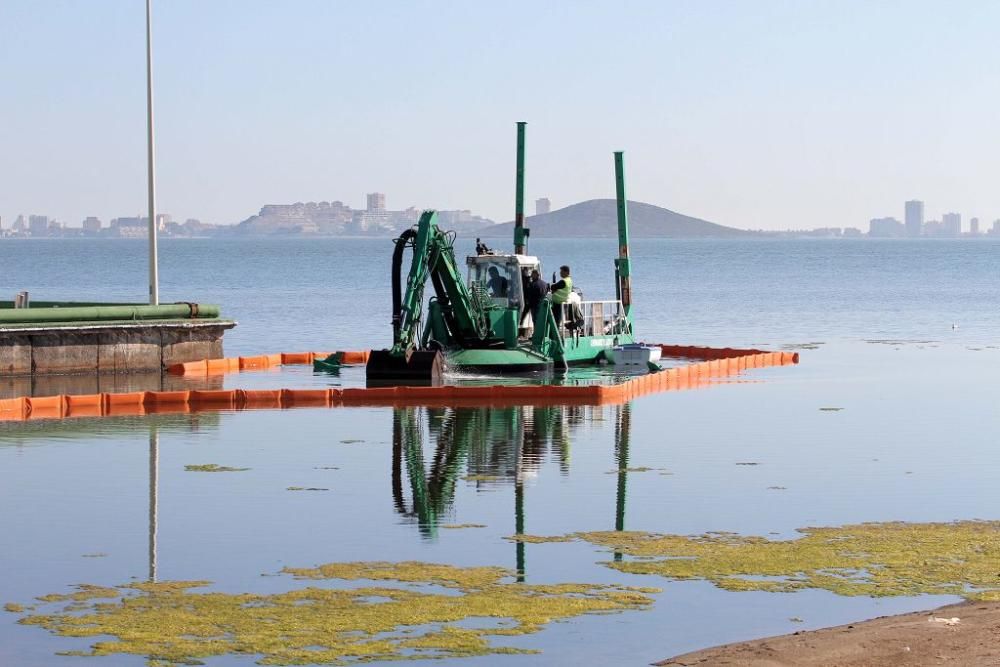 Así trabaja la brigada de limpieza en el Mar Menor