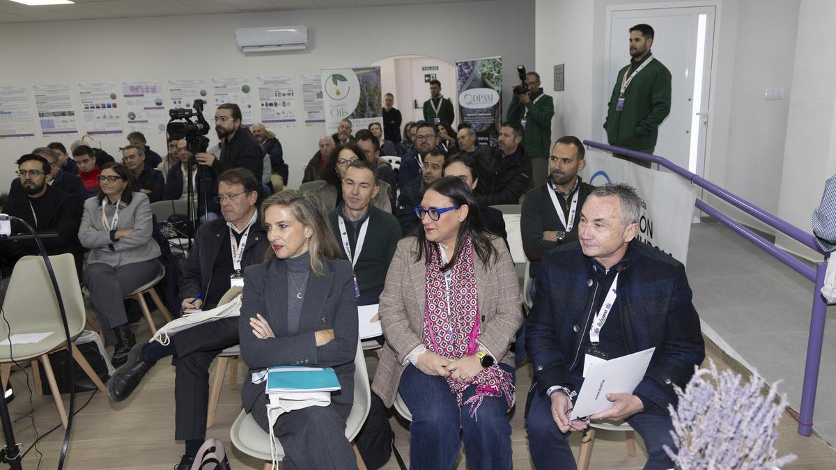 Celebración del congreso