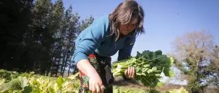 La pérdida de más de 1.000 trabajadores cada año pone contra las cuerdas al agro de Galicia