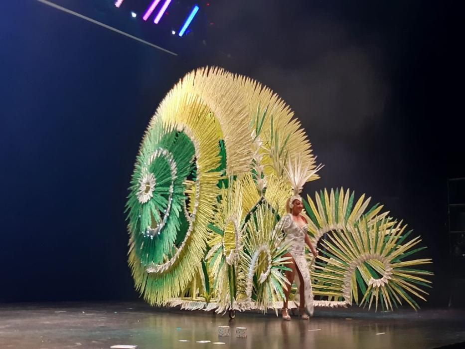 Concurso nacional de trajes de papel y maquillaje corporal del Carnaval de Águilas