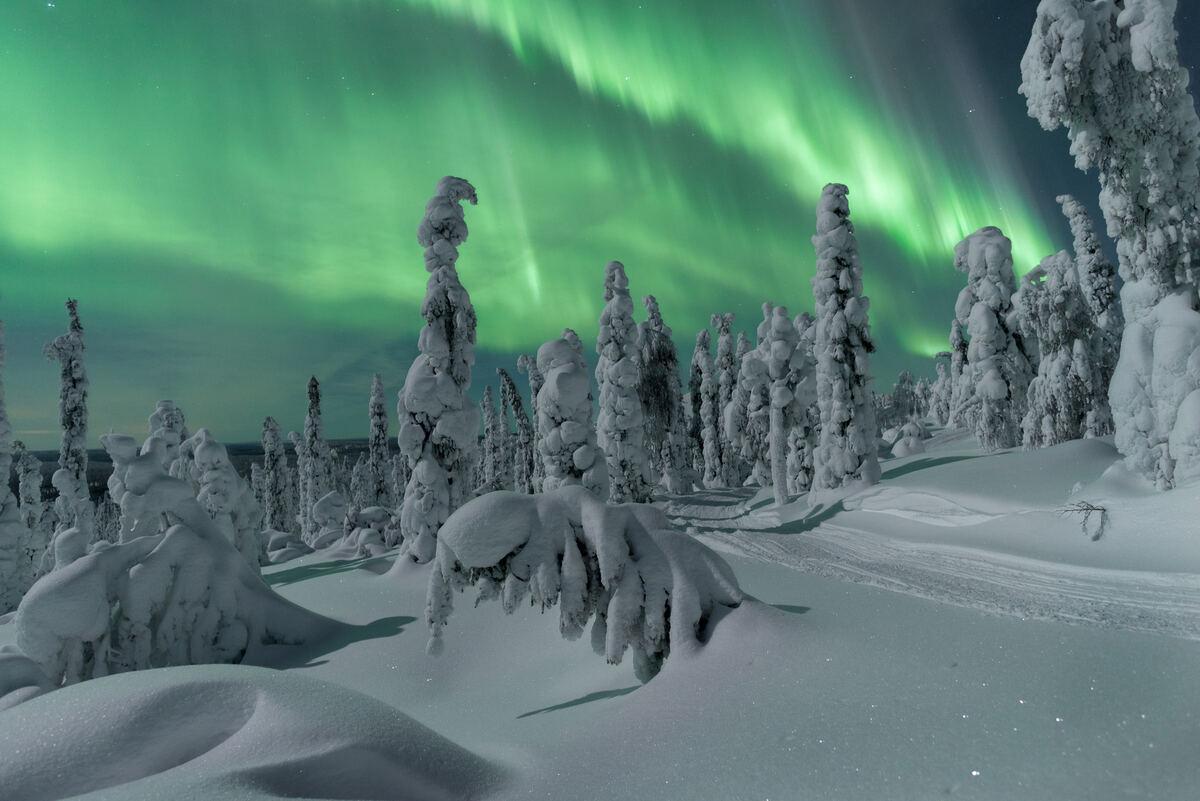 Auroras boreales.