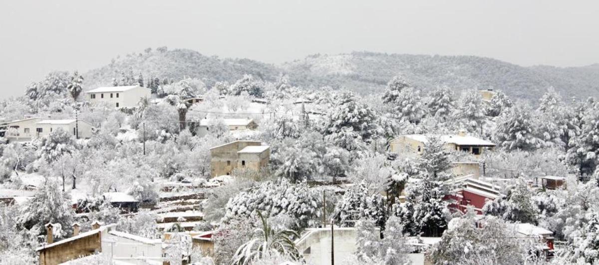Se cumplen 14 años de la gran nevada en Mallorca de febrero de 2012, la segunda más importante de la historia