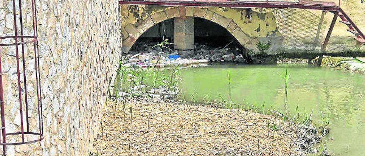 Imagen de la zona donde se acumulan sedimentos -y también residuos- en el cauce