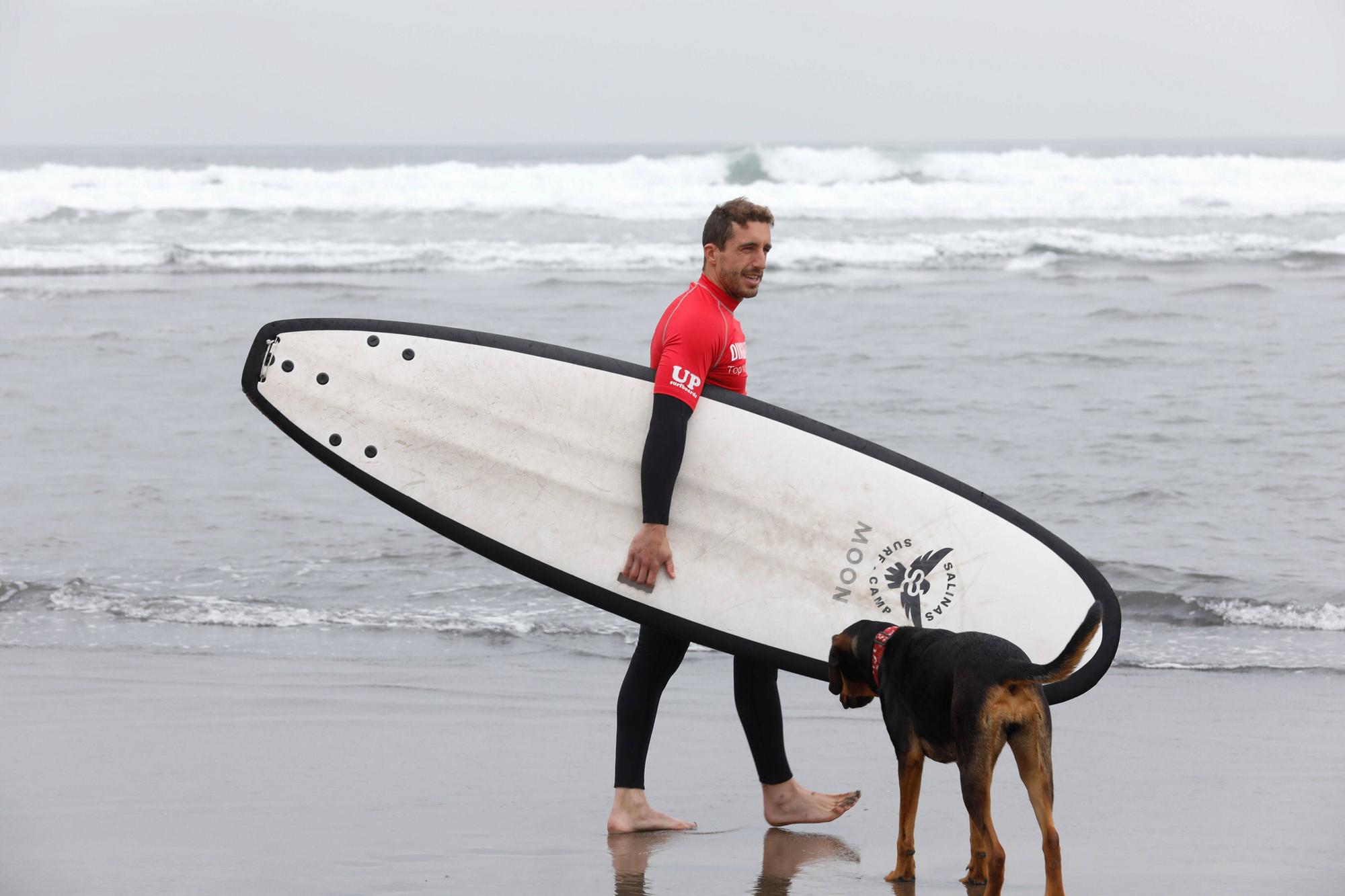 En imágenes: Campeonato Europeo de Surf canino