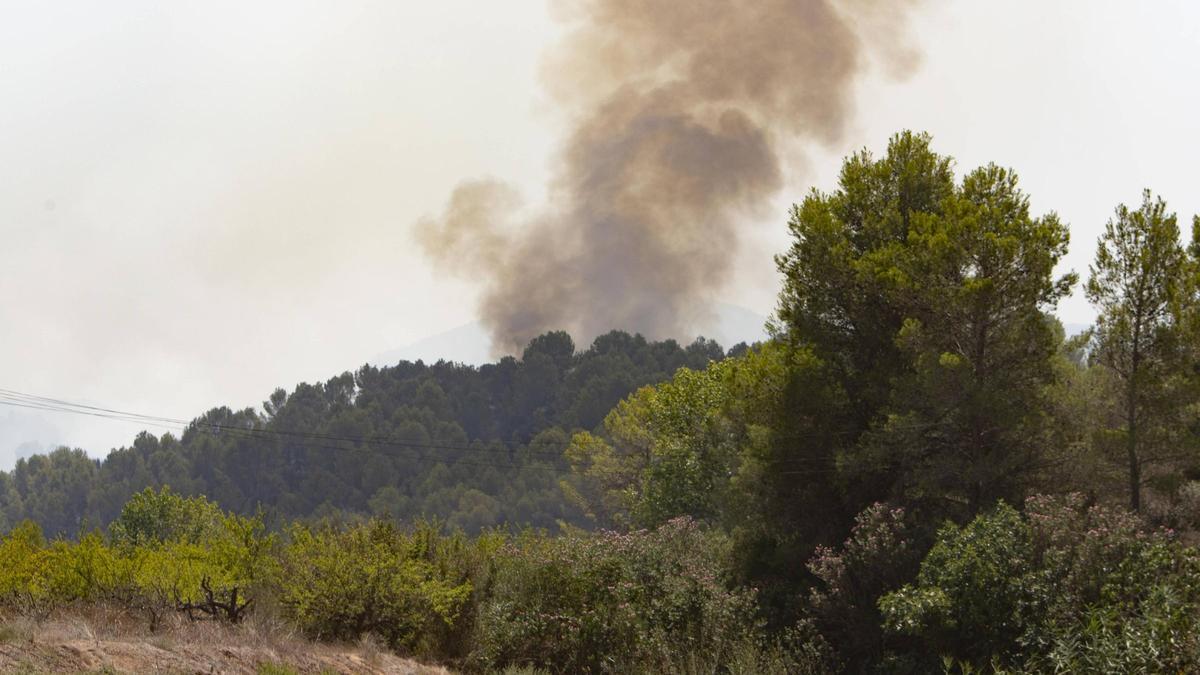 Incendio forestal en la partida de la Guitarreta en verano pasado.