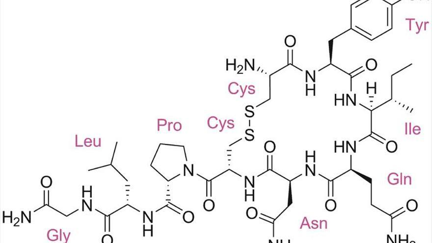 Oxitocina, la hormona de la felicidad