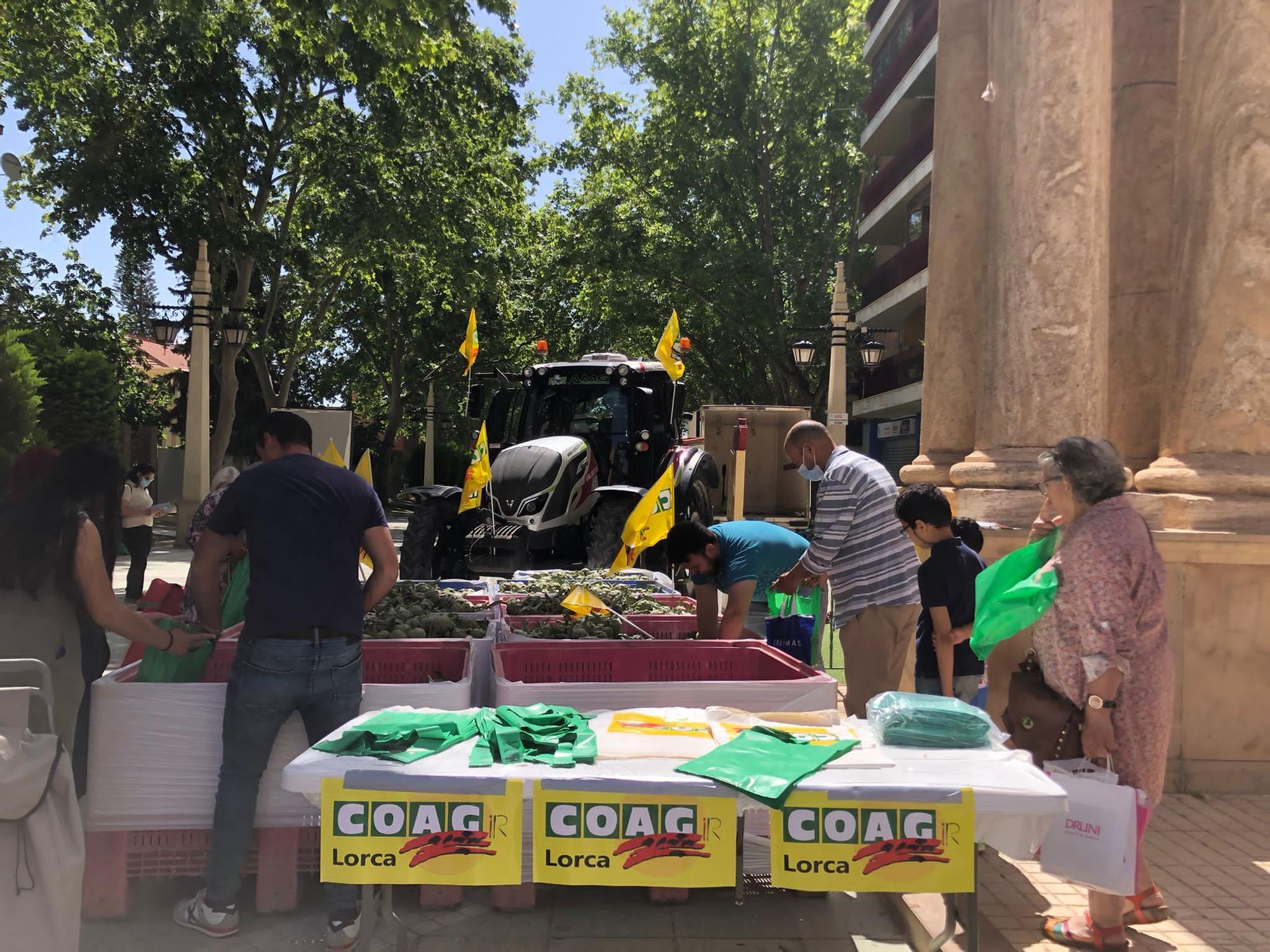 Entrega de alcachofas en Lorca