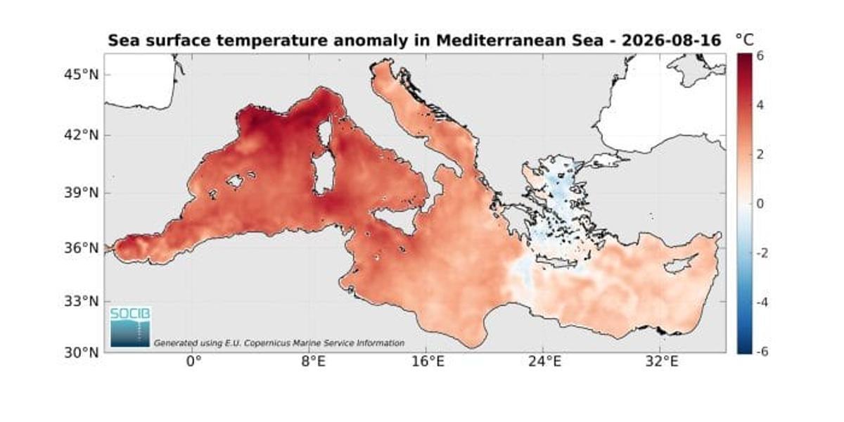 Anomalías de temperatura en el mar el 16 de agosto, según otra fuente