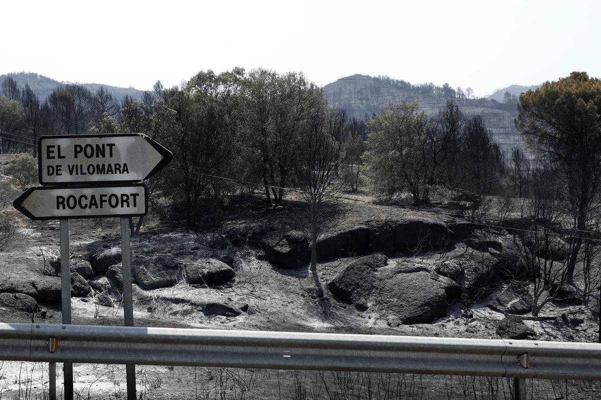  Vista de una zona arrasada por las llamas en la población de El Pont de Vilomara, en la comarca del Bages.