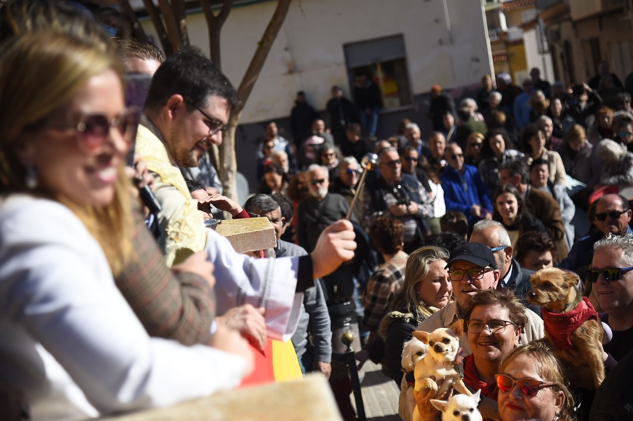 Bendición de animales por San Antón en Cartagena