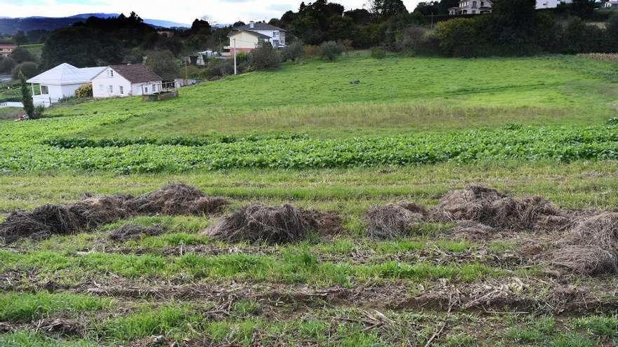 Vista de la Finca Tenreiro, en Cela, que se convertirá en suelo dotacional para crear el local social.