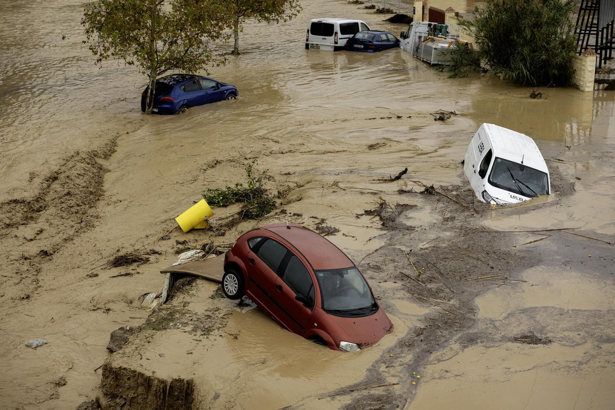 -FOTODELDÍA- . ÁLORA (MÁLAGA), 29/10/2024.- Estado en el que han quedado los coches en la localidad malagueña de Álora tras el desborde del río Guadalhorce debido a las lluvias torrenciales a consecuencia del paso de la dana que también ha ocasionado el descarrilamiento de un AVE en este municipio y que ha dejado en Andalucía innumerables incidencias. EFE/Jorge Zapata.