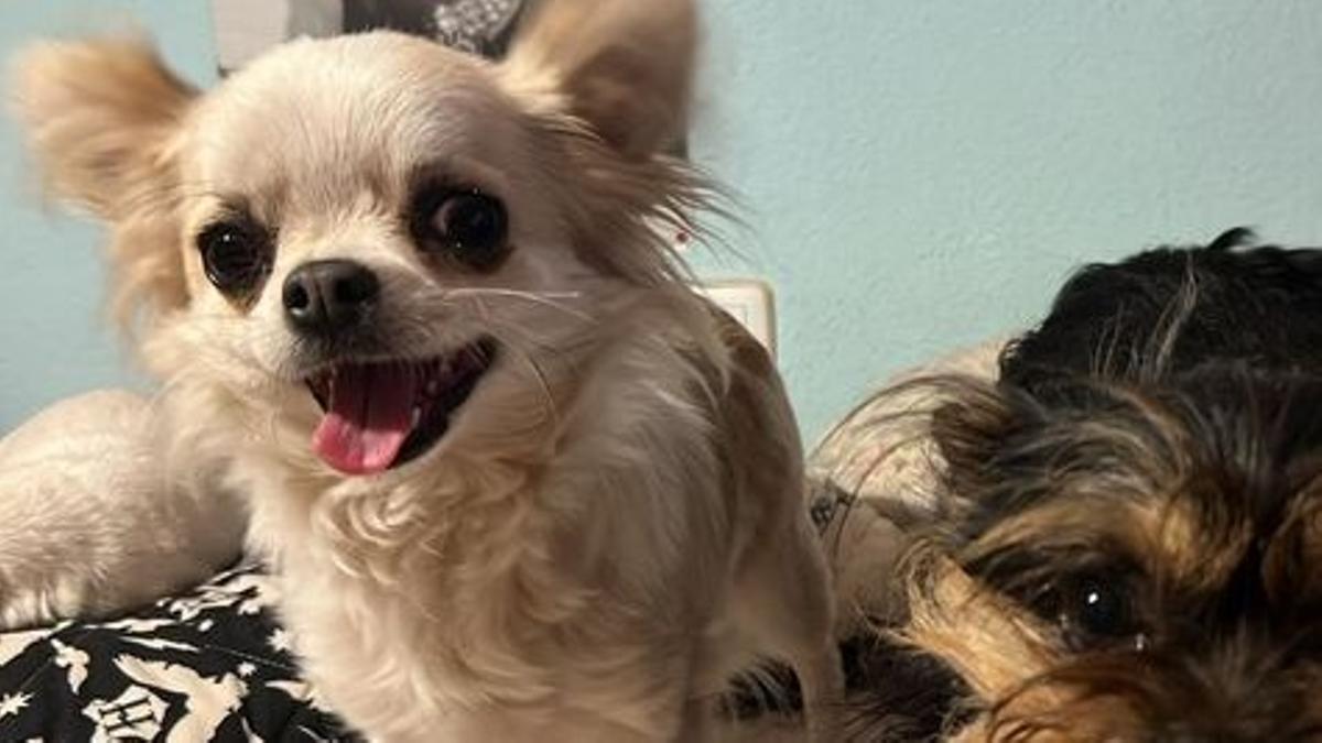 Rita, perdida en Badajoz.