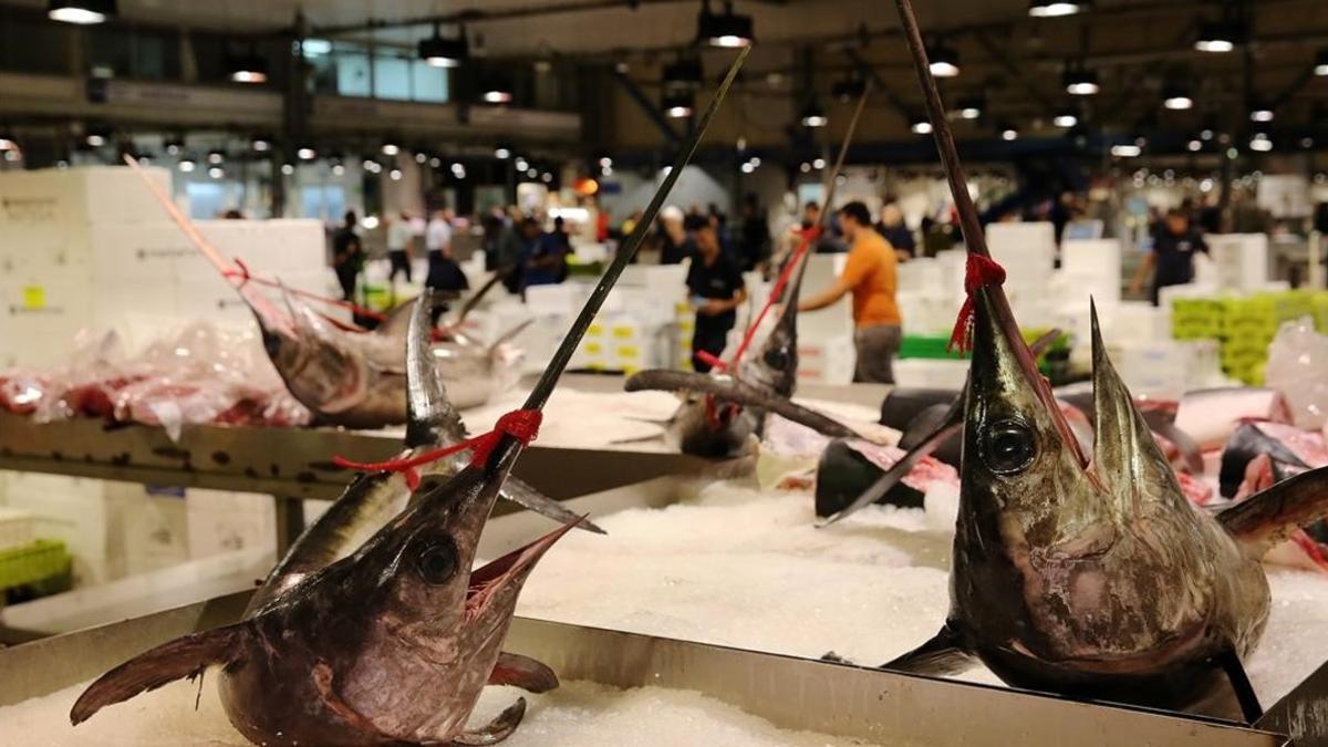 Mercado del Pescado de Mercabarna