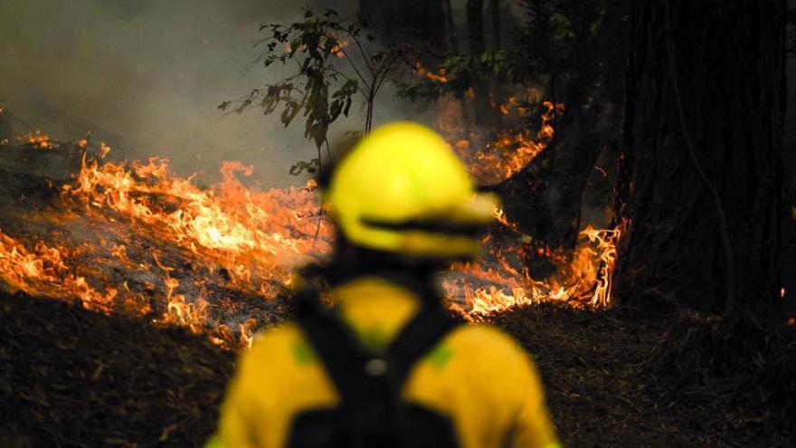 Hemos ganado por fin la partida al fuego, pero en realidad hemos perdido…