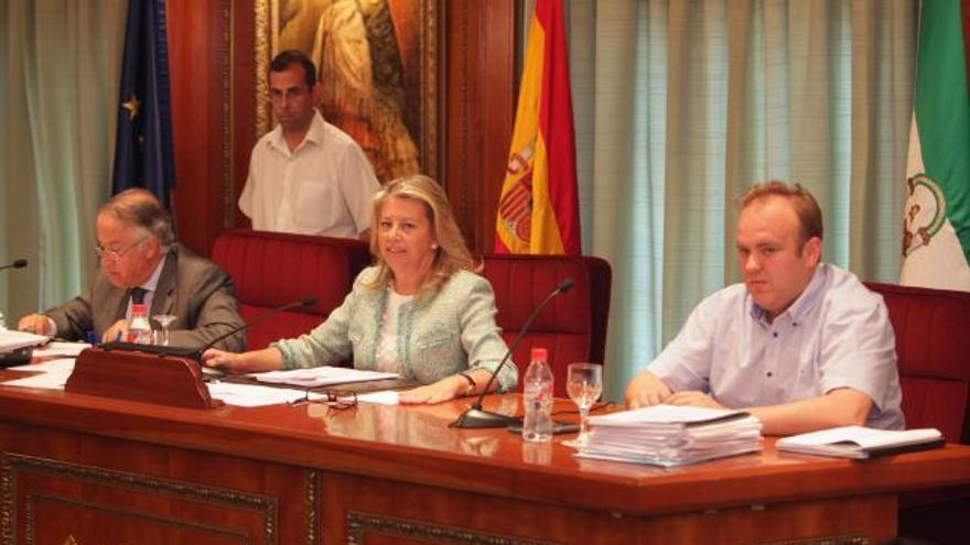 Pleno del Ayuntamiento de Marbella Ángeles Muñoz.