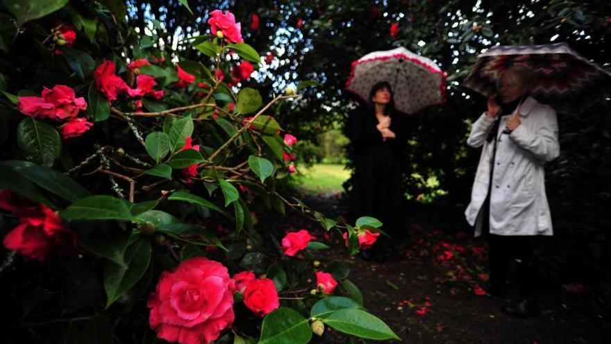 La provincia aspira a marcar un hito con cuatro jardines declarados de Excelencia Internacional de la Camelia