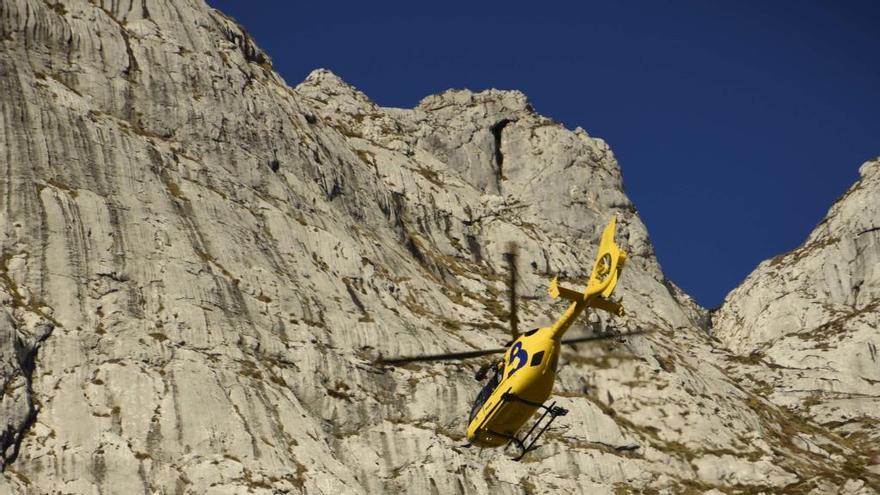 Fallece un ganadero despeñado en Amieva