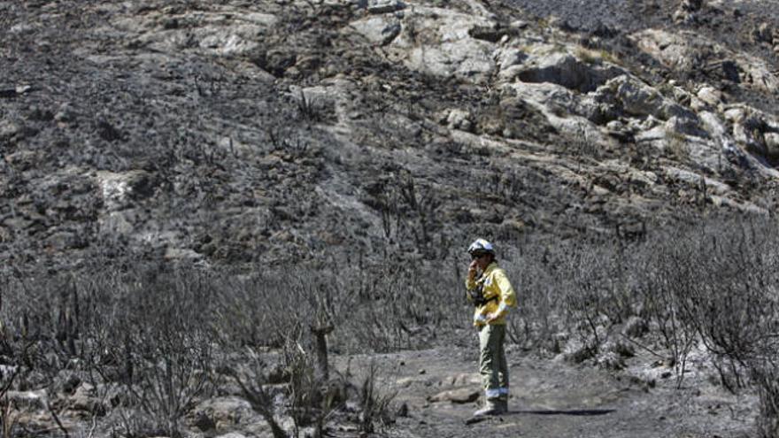 Artà y Capdepera, castigados por el fuego