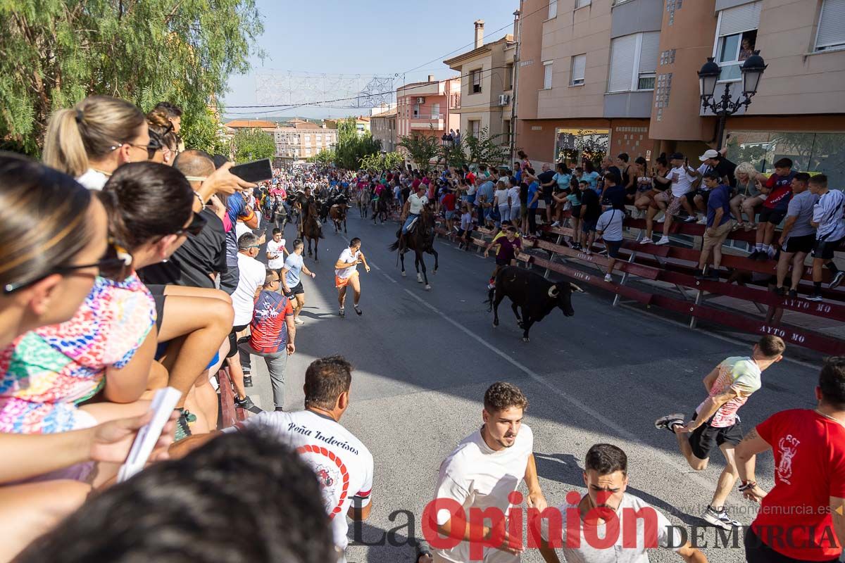 Octavo encierro en las Fiestas de Moratalla