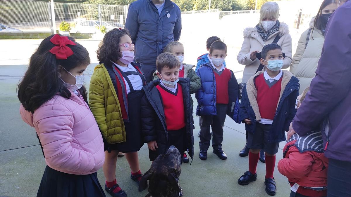 Alumnos de San José, en el refugio animal