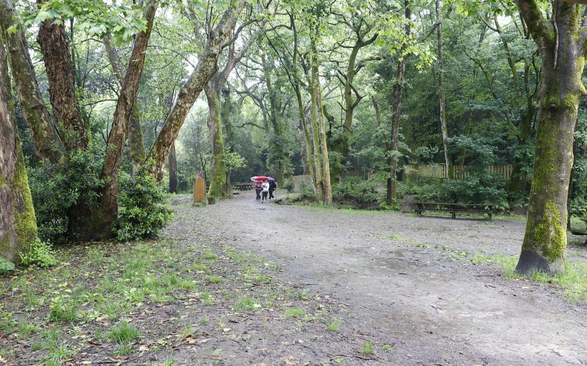 Bosque del Banquete de Conxo