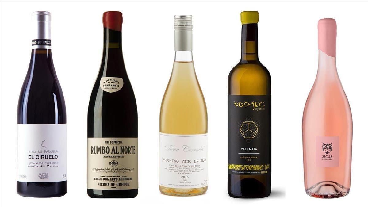 Los 5 vinos preferidos de Audrey Doré