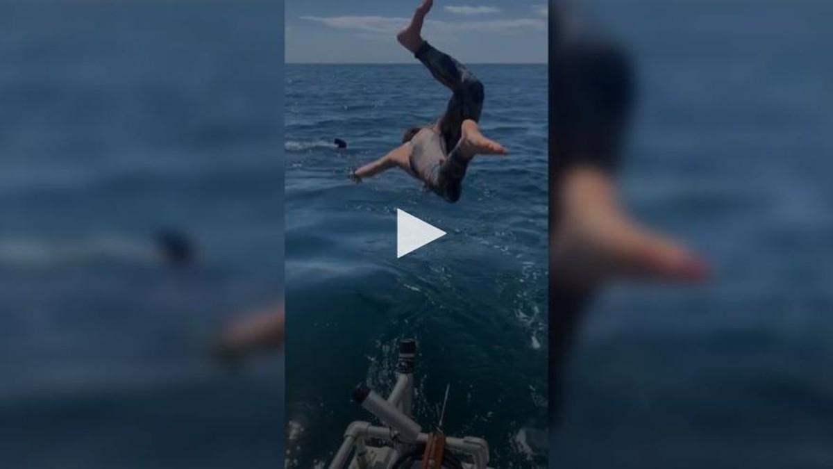 El momento en el que el hombre se lanza al mar para nadar con el tiburón