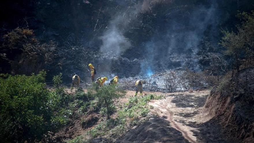 El fuego en Gran Canaria remite y los desalojados empiezan a volver