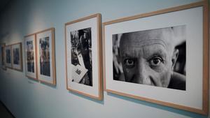 picasso-douglas