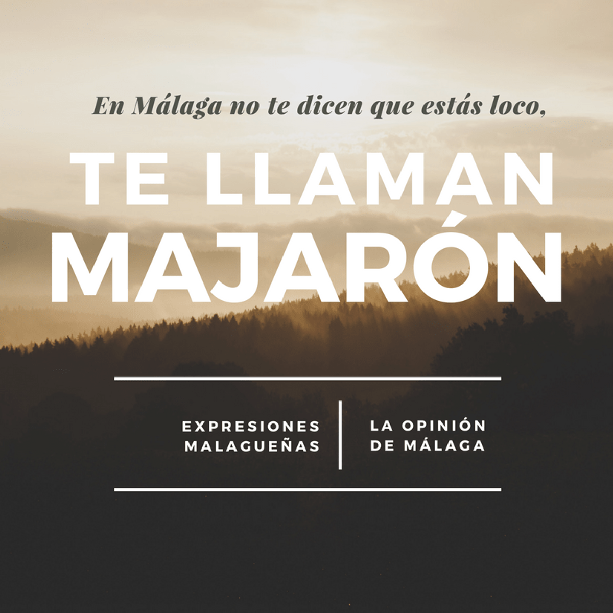 Vocabulario que debes conocer (si no eres de Málaga) para seguir 'Malaka'