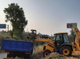 Abren cien expedientes sancionadores por la mala gestión de parcelas de Marbella