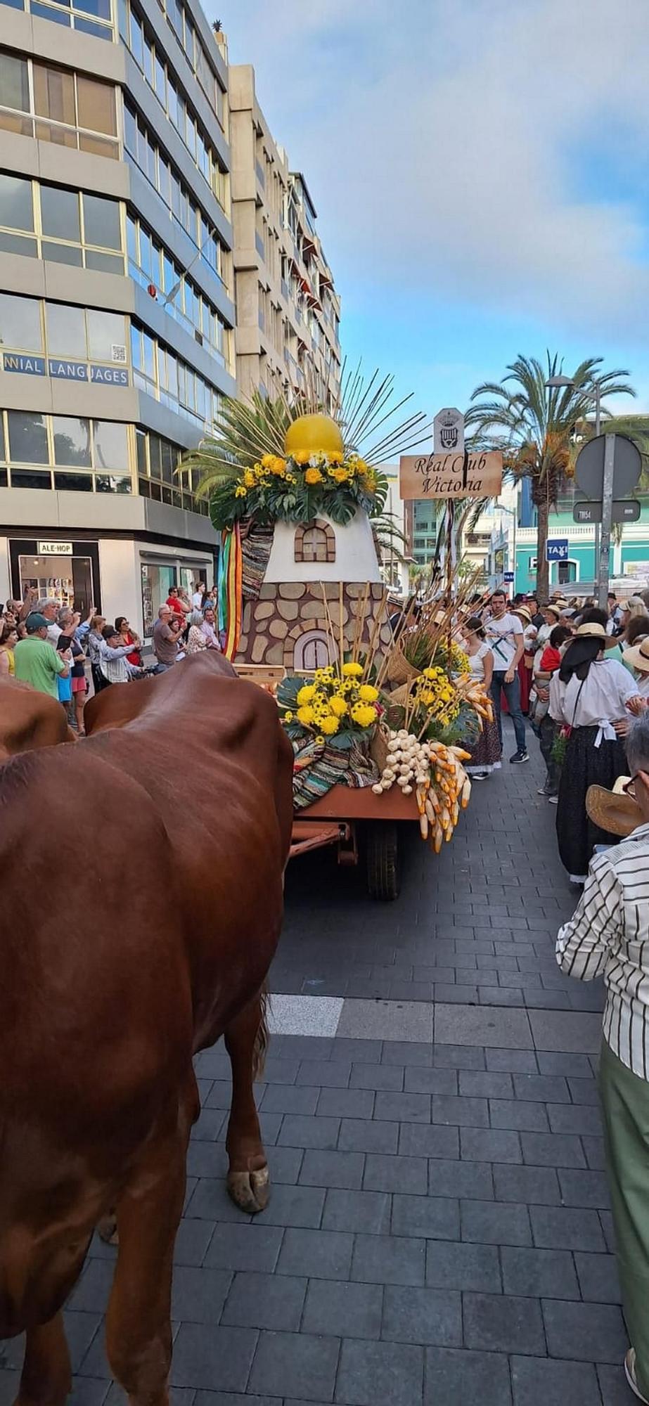 Romería de la Naval, en imágenes