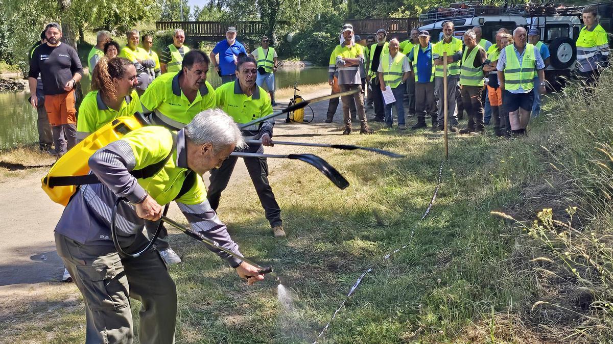 La Mancomunidade de Montes de Vigo presenta una nueva campaña de prevención de incendios