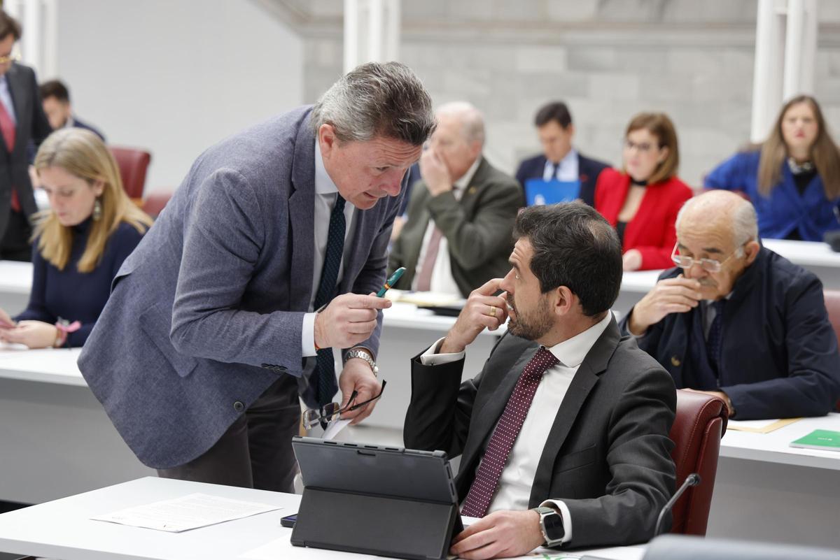 El portavoz del Grupo Parlamentario Vox, Rubén Martínez Alpañez (sentado), charla con el diputado Pascual Salvador.