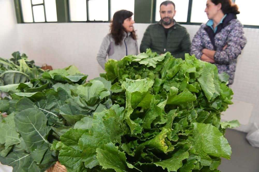 Presentación del Foro Galego de Agroecoloxía