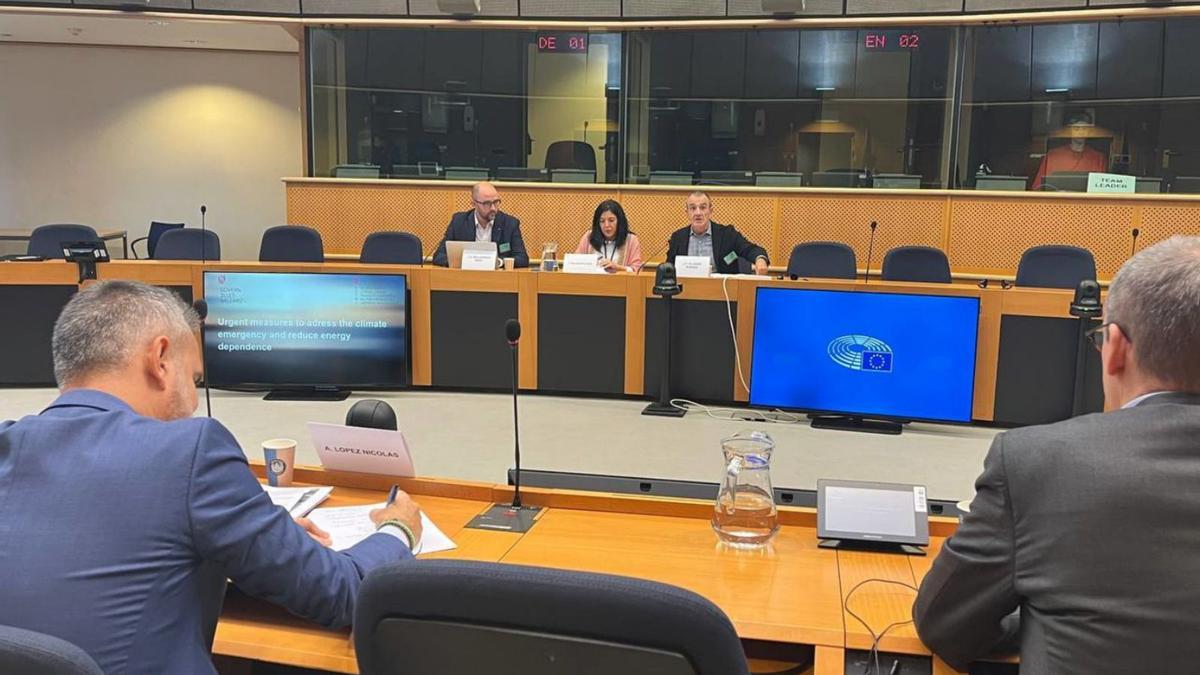 Yllanes explicó ayer la política energética de Balears ante la Comisión Europea.