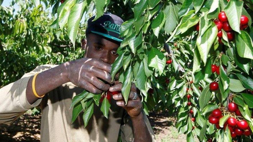 El Gobierno estudia compatibilizar las peonadas y el paro también en verano