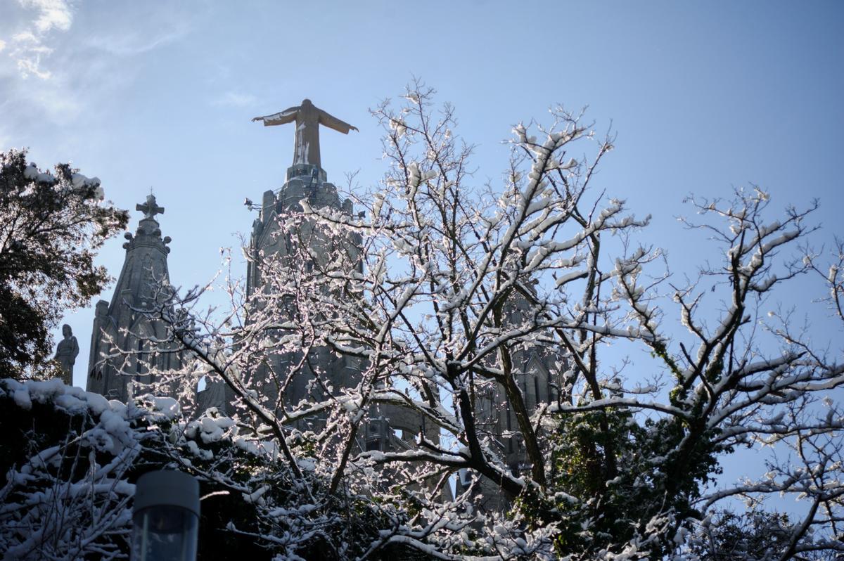 La nieve llega a Barcelona: Collserola, cubierta de blanco