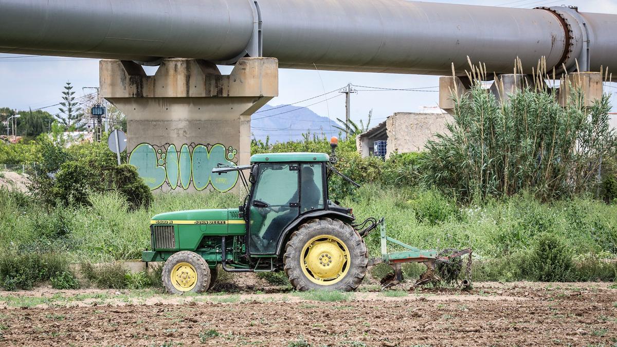 Un agricultor pasa con su tractor bajo los tubos del Trasvase en la Vega Baja