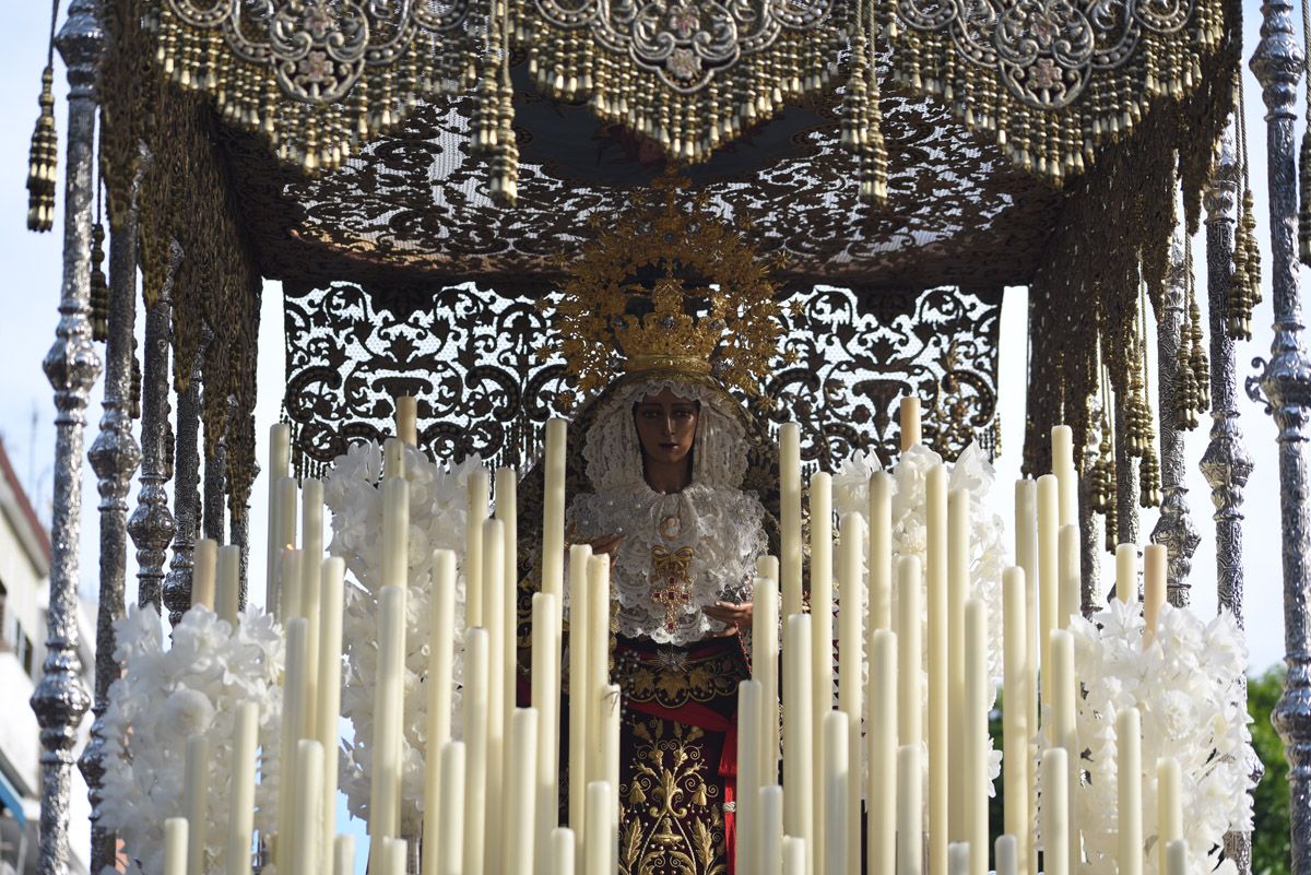 La hermandad del Amor, en imágenes