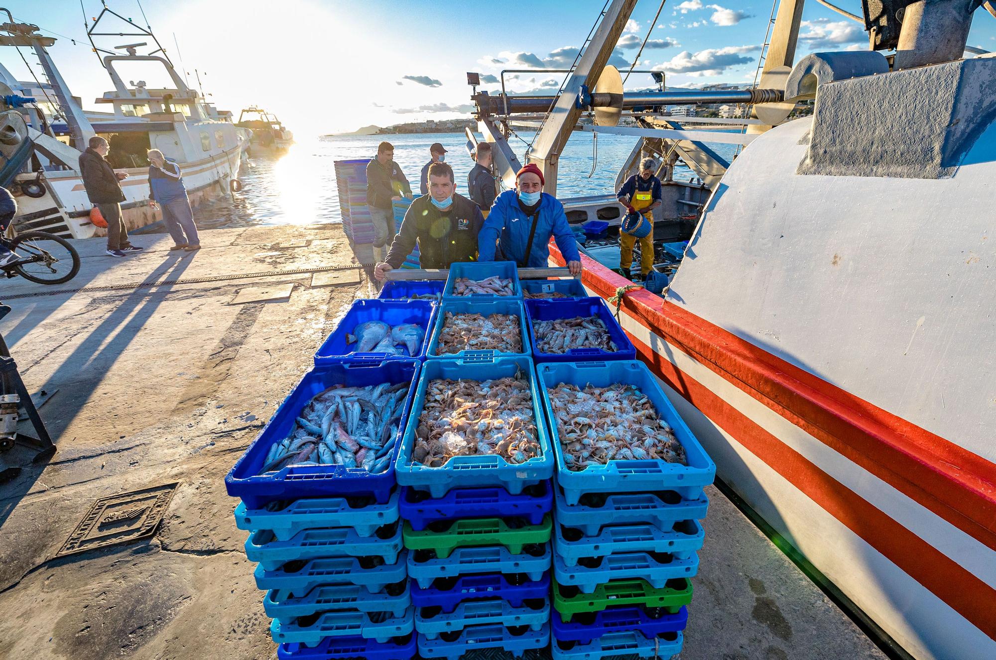 Pesca y Turismo en Villajoyosa