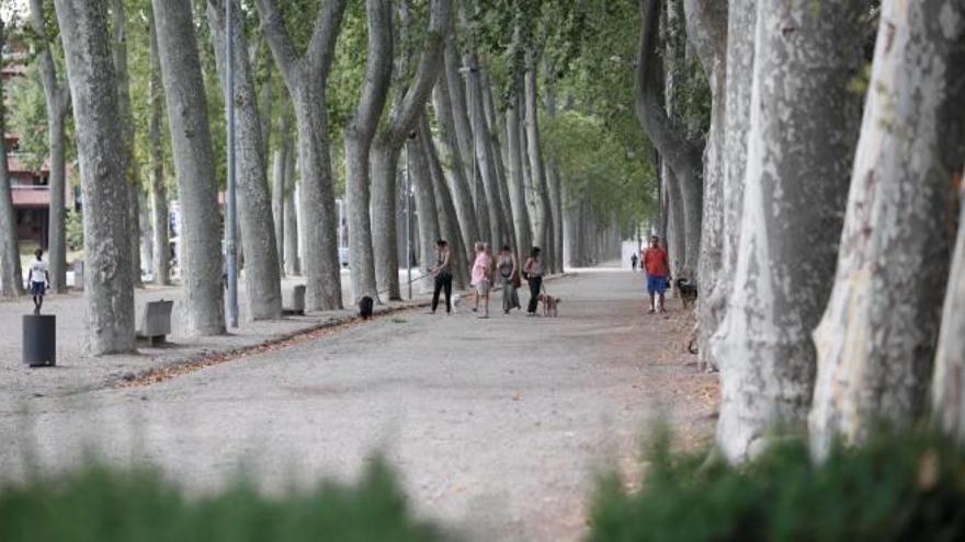 El tractament al parc implica unes mesures de prevenció en seguretat per als veïns.