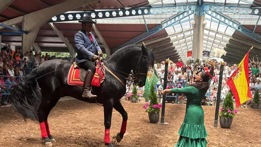 Narcenatur sorprende con su programación para todos los públicos: desde caballos que bailan sevillanas a artistas que esculpen madera con motosierra