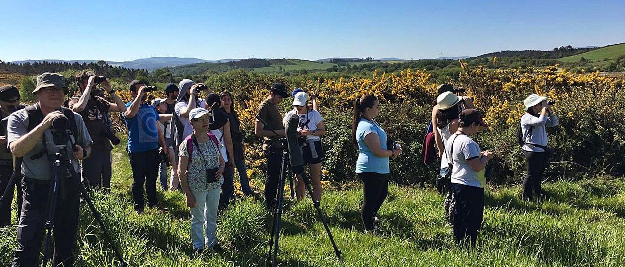 Participantes en una ruta ornitológica de la Diputación en Brañas de Xestoso.