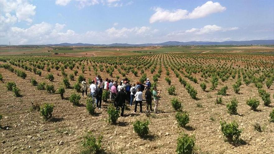 La Ruta del Vino celebró una jornada de puertas abiertas