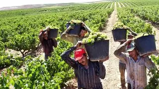 La crisis del vino Rioja: piden destilar 60 millones de litros de excedente mientras bajan las ventas