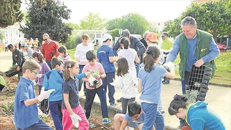 los niños siembran plantas aromáticas en el paseo de los remedios