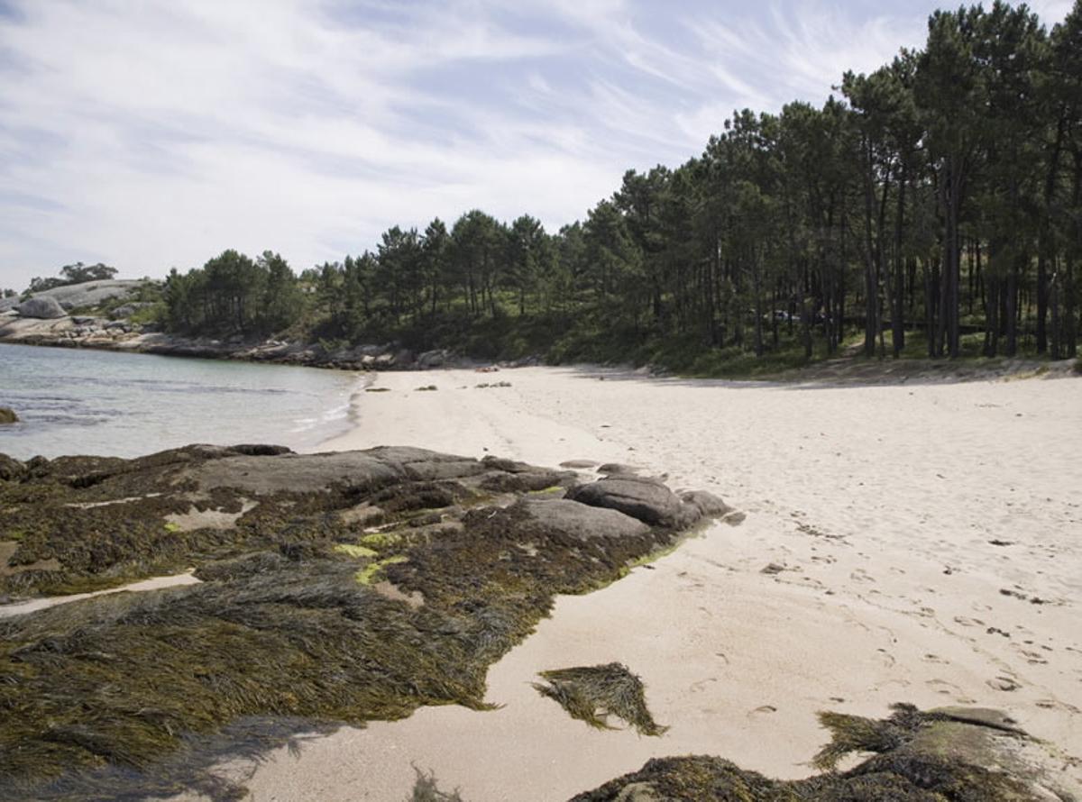 Playa de Area de Secada.